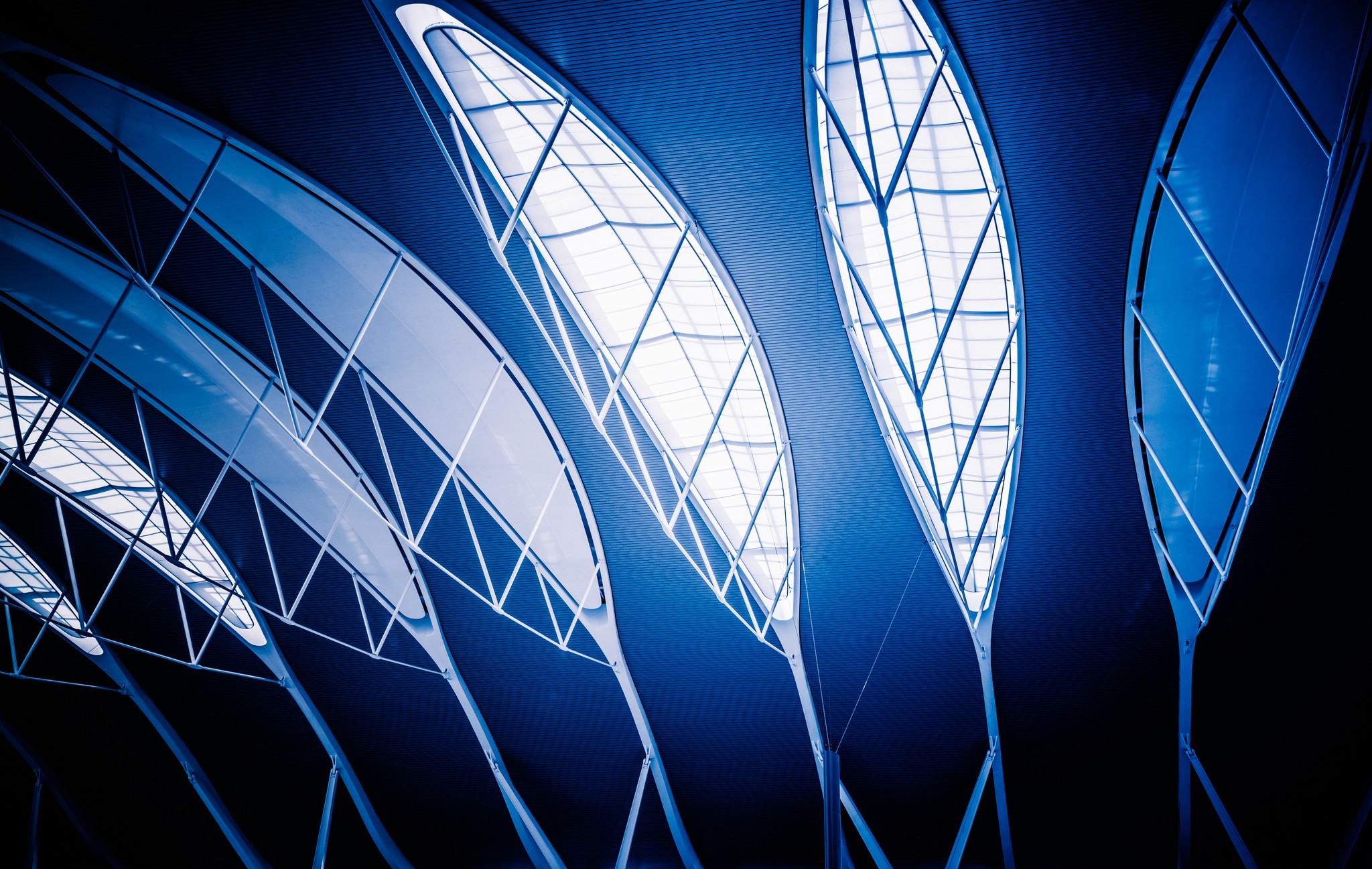 Building an Offshore Team: A Strategic Growth Move